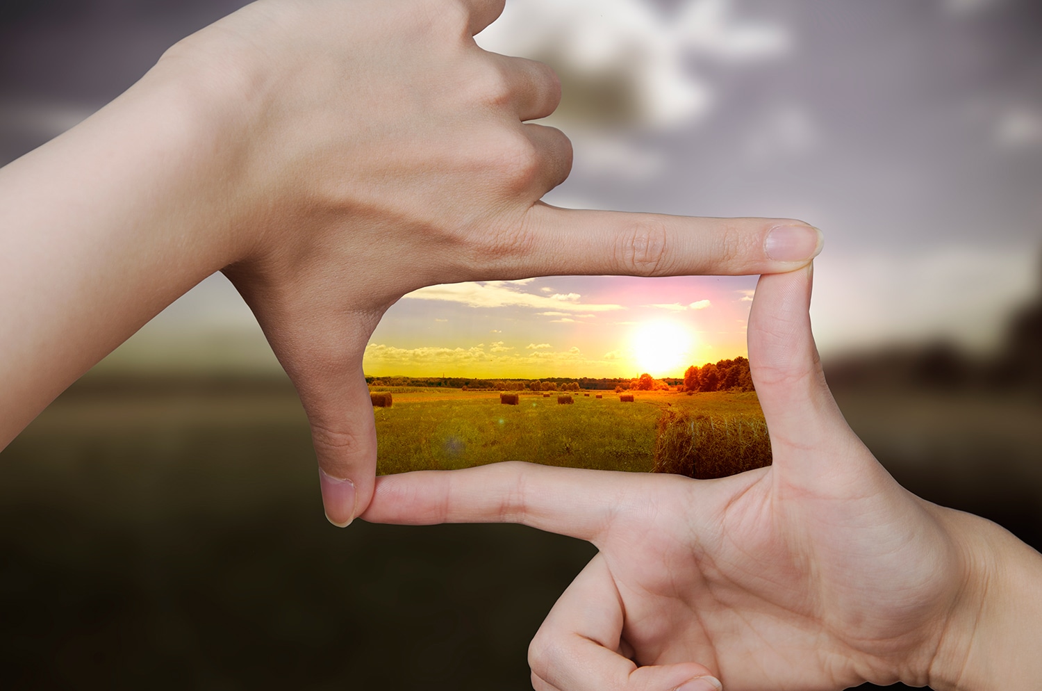 A Clear Vision