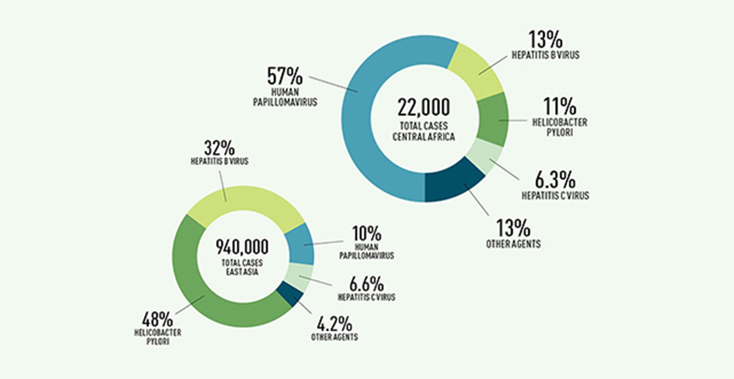 Opportunities for Prevention