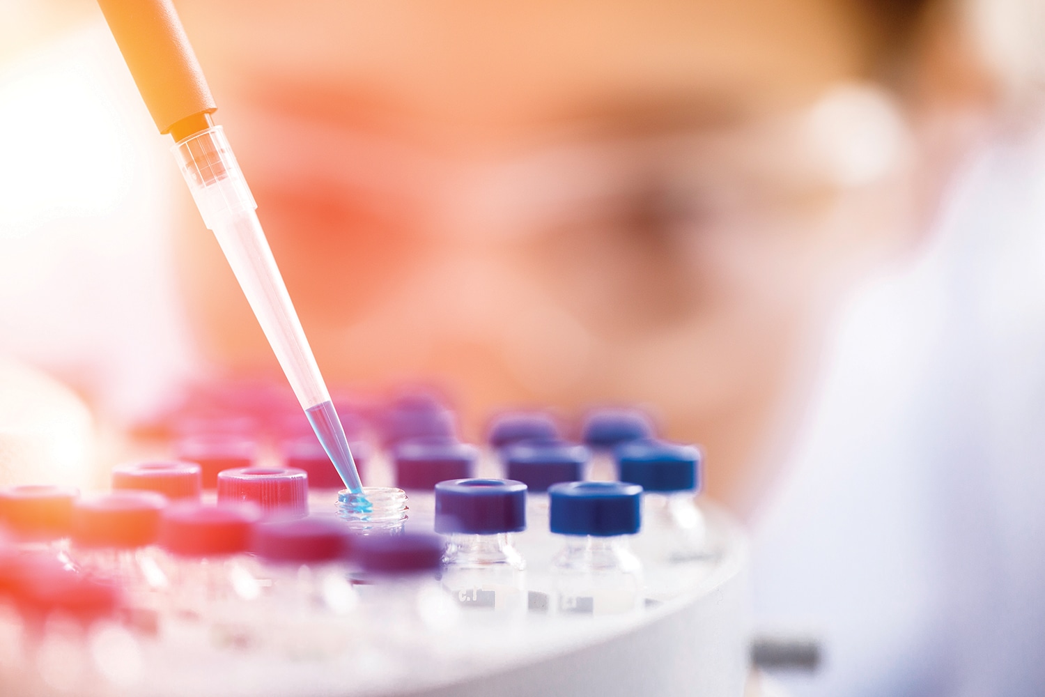 Cloning Cancer